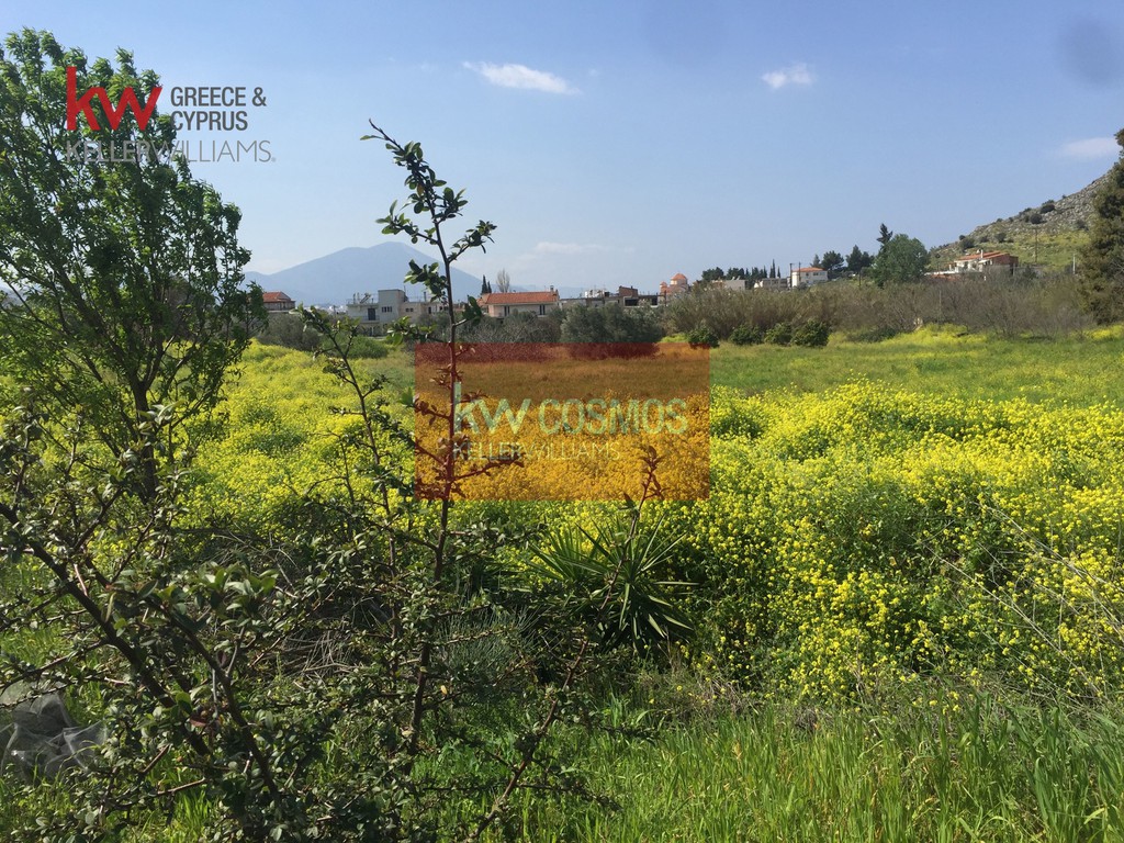 Οικόπεδο 6.300 τ.μ. προς πώληση, Χαλκίδα
