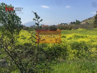 Οικόπεδο 6.300 τ.μ. για πώληση, Εύβοια, Χαλκίδα-thumb-1
