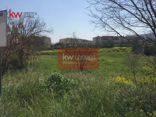 Οικόπεδο 6.300 τ.μ. για πώληση, Εύβοια, Χαλκίδα-thumb-10