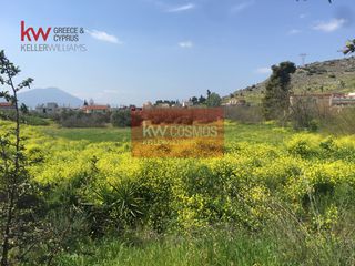 Οικόπεδο 6.300 τ.μ. για πώληση