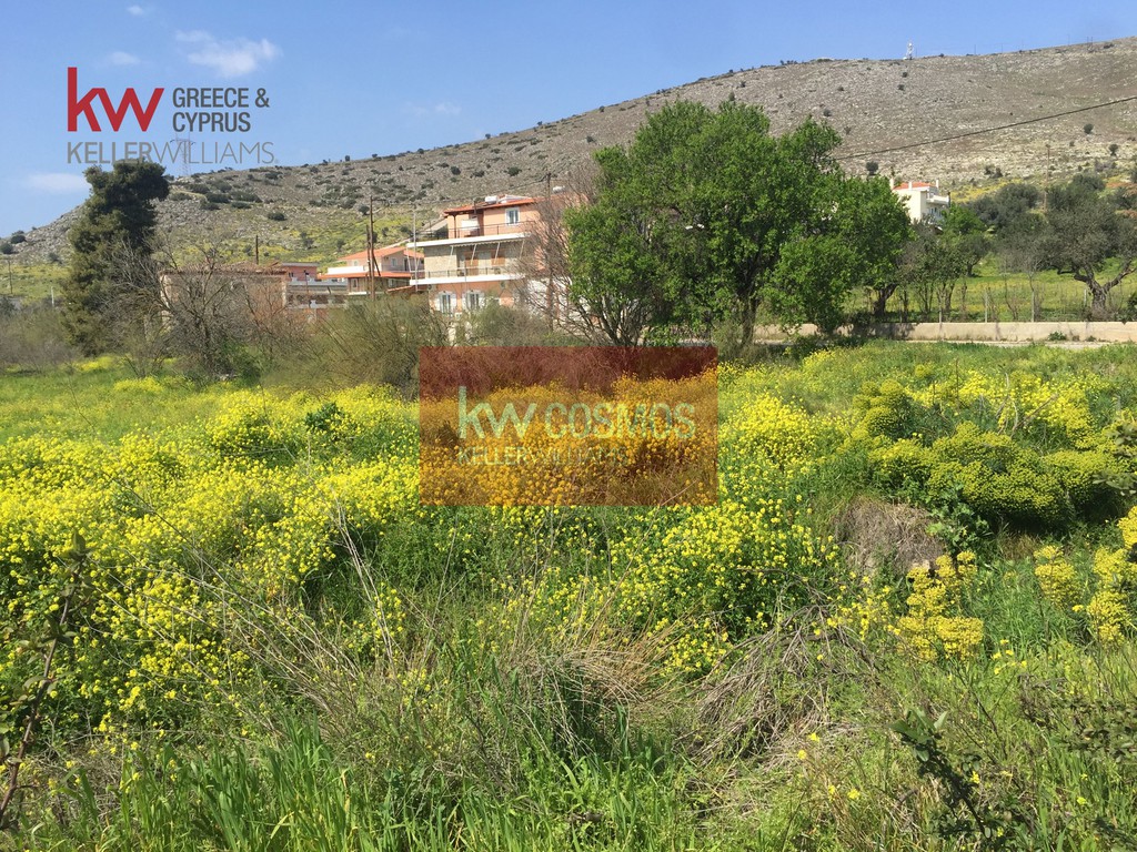 Οικόπεδο 6.300 τ.μ. προς πώληση, Χαλκίδα