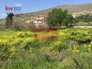 Οικόπεδο 6.300 τ.μ. για πώληση, Εύβοια, Χαλκίδα-thumb-2