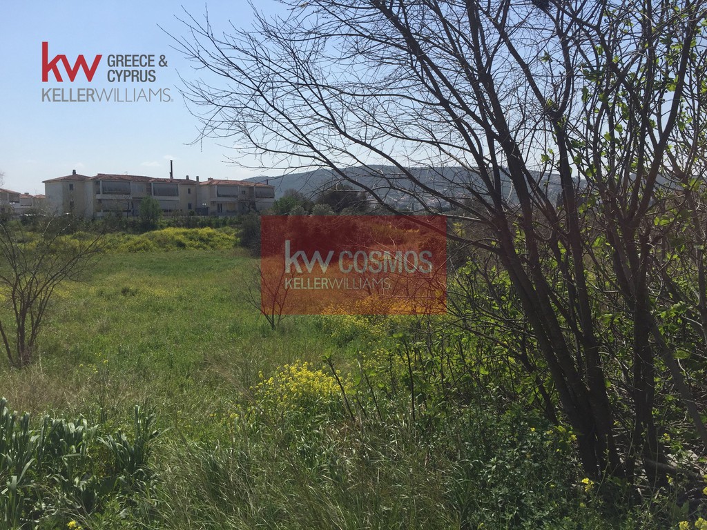 Οικόπεδο 6.300 τ.μ. προς πώληση, Χαλκίδα