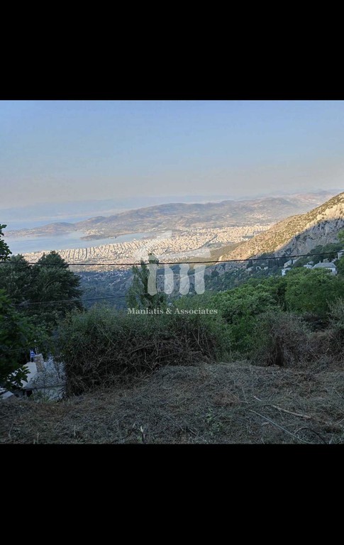 Οικόπεδο 244 τ.μ. πρός πώληση, Μαγνησία, Μακρινίτσα