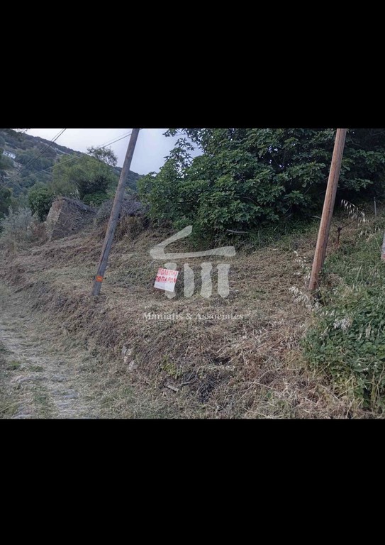 Οικόπεδο 244 τ.μ. πρός πώληση, Μαγνησία, Μακρινίτσα