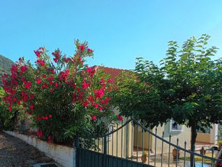Μονοκατοικία 100 τ.μ. για πώληση