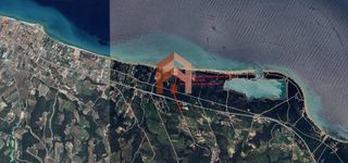 Αγροτεμάχια 5.500 τ.μ. για πώληση