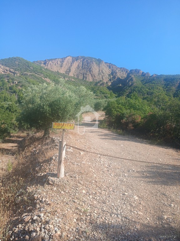 Αγροτεμάχια 12.000 τ.μ. προς πώληση, Κέντρο Αιγίου
