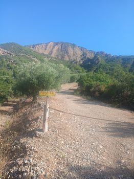 Αγροτεμάχια 12.000 τ.μ. προς πώληση