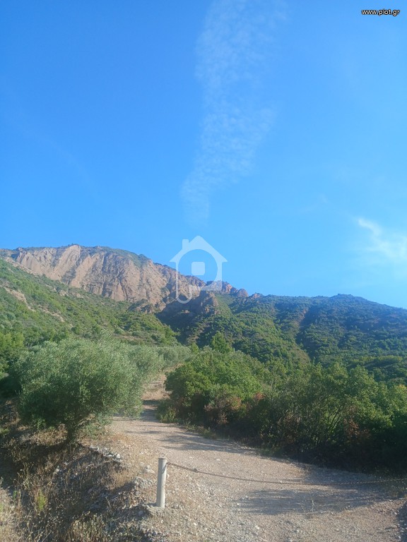 Αγροτεμάχια 12.000 τ.μ. προς πώληση, Κέντρο Αιγίου