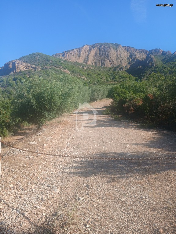 Αγροτεμάχια 12.000 τ.μ. προς πώληση, Κέντρο Αιγίου