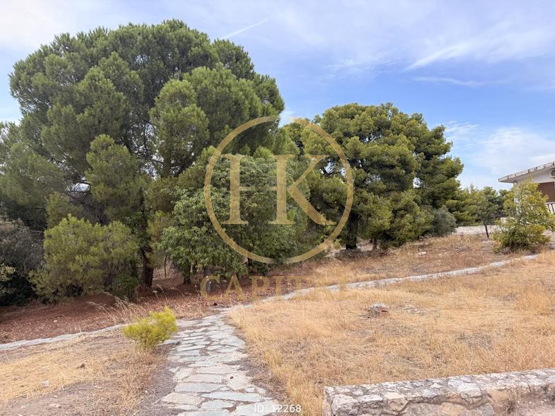 Μονοκατοικία 300 τ.μ. προς πώληση, Γαλότα