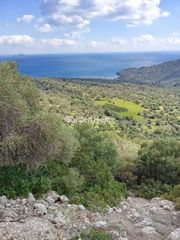 Οικόπεδο 96.000 τ.μ. για πώληση, Ν. Σάμου, Σάμος-thumb-3