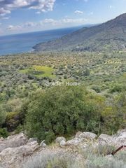 Οικόπεδο 96.000 τ.μ. για πώληση, Ν. Σάμου, Σάμος-thumb-2
