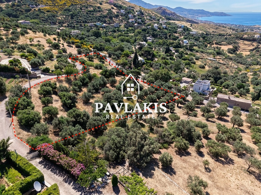 Οικόπεδο 8.735 τ.μ. πρός πώληση, Εύβοια, Κάρυστος