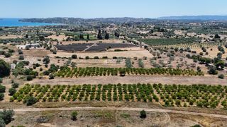 Αγροτεμάχια 6.784 τ.μ. για πώληση, Αργολίδα, Κρανίδι-thumb-15