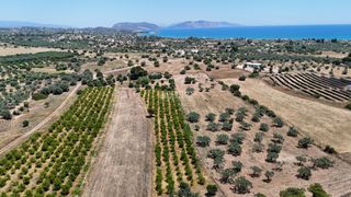 Αγροτεμάχια 6.784 τ.μ. για πώληση, Αργολίδα, Κρανίδι-thumb-19