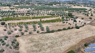 Αγροτεμάχια 6.784 τ.μ. για πώληση, Αργολίδα, Κρανίδι-thumb-9
