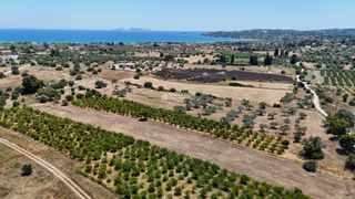 Αγροτεμάχια 6.784 τ.μ. για πώληση, Αργολίδα, Κρανίδι-thumb-20