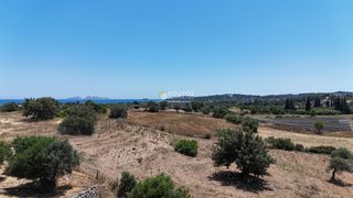 Αγροτεμάχια 6.784 τ.μ. για πώληση, Αργολίδα, Κρανίδι-thumb-16