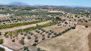 Αγροτεμάχια 6.784 τ.μ. για πώληση, Αργολίδα, Κρανίδι-thumb-10