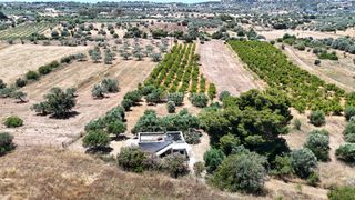 Αγροτεμάχια 6.784 τ.μ. για πώληση, Αργολίδα, Κρανίδι-thumb-4