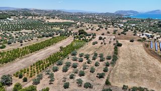 Αγροτεμάχια 6.784 τ.μ. για πώληση, Αργολίδα, Κρανίδι-thumb-11