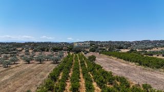 Αγροτεμάχια 6.784 τ.μ. για πώληση, Αργολίδα, Κρανίδι-thumb-3