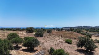 Αγροτεμάχια 6.784 τ.μ. για πώληση, Αργολίδα, Κρανίδι-thumb-17