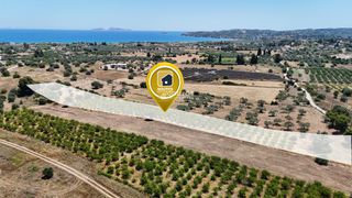 Αγροτεμάχια 6.784 τ.μ. για πώληση, Αργολίδα, Κρανίδι-thumb-1