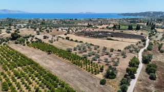 Αγροτεμάχια 6.784 τ.μ. για πώληση, Αργολίδα, Κρανίδι-thumb-12