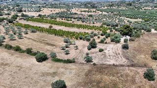 Αγροτεμάχια 6.784 τ.μ. για πώληση, Αργολίδα, Κρανίδι-thumb-6