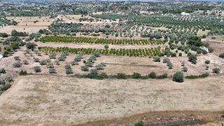 Αγροτεμάχια 6.784 τ.μ. για πώληση, Αργολίδα, Κρανίδι-thumb-8