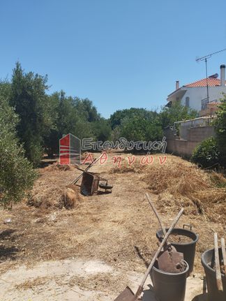 Maisonette 200 sqm for sale, Rest Of Attica, Kalivia Thorikou