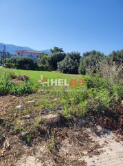 Οικόπεδο 970 τ.μ. προς πώληση, Προάστιο Πάτρας-thumb-4