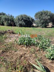Οικόπεδο 970 τ.μ. προς πώληση, Προάστιο Πάτρας-thumb-24