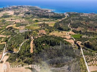 Αγροτεμάχια 50.000 τ.μ. για πώληση