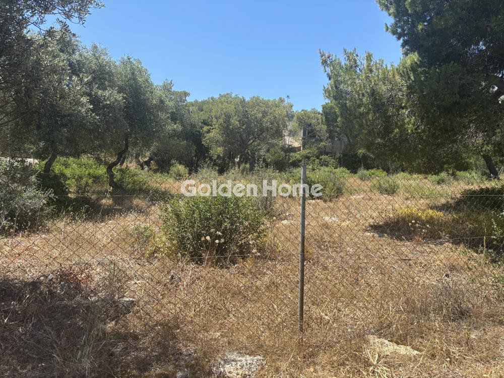Αγροτεμάχια 1.034 τ.μ. προς πώληση, Αγία Κυριακή Σπάτων