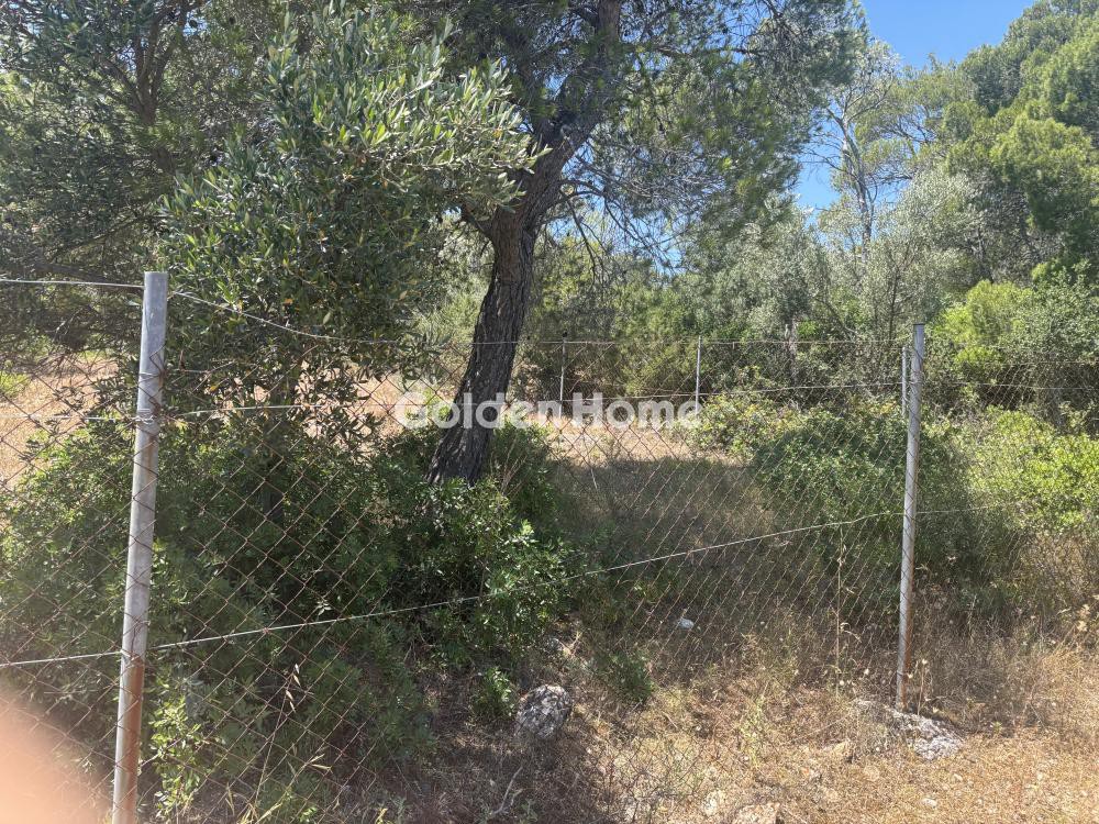Αγροτεμάχια 1.034 τ.μ. προς πώληση, Αγία Κυριακή Σπάτων