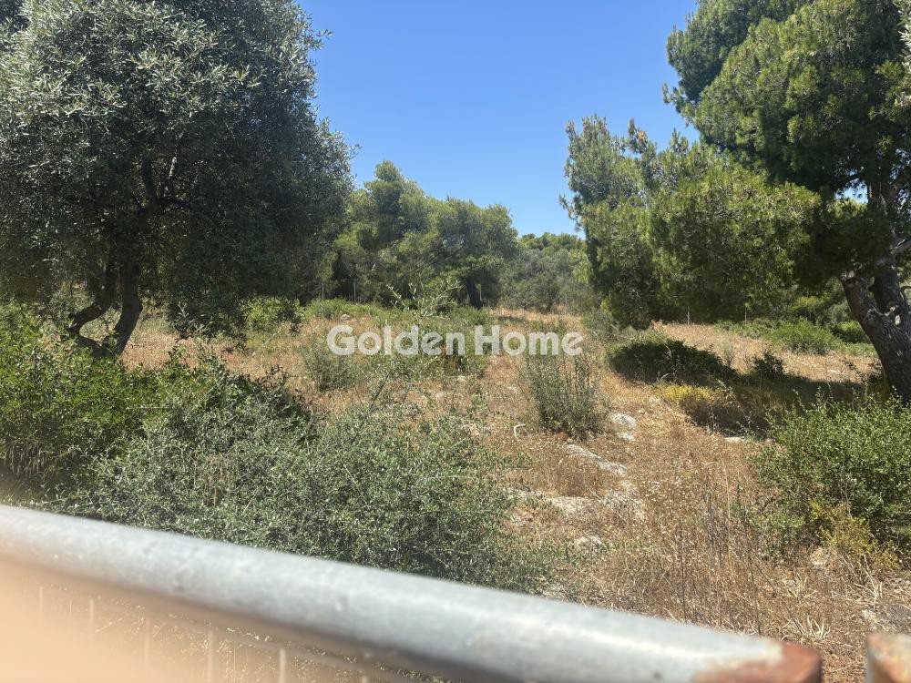 Αγροτεμάχια 1.034 τ.μ. προς πώληση, Αγία Κυριακή Σπάτων