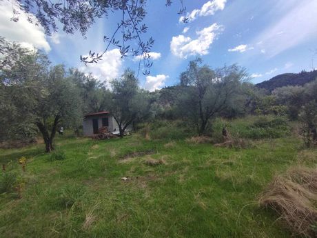 Land plot 3.600 sqm for sale