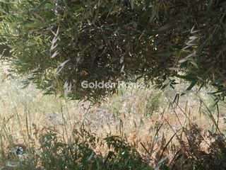 Οικόπεδο 780 τ.μ. για πώληση