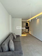 Studio 45 sqm for rent