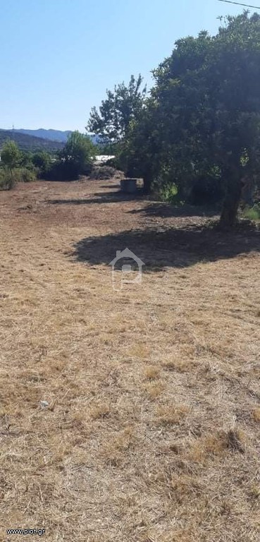 Οικόπεδο 1.570 τ.μ. προς ενοικίαση, Ν. Άρτας, Πέτα