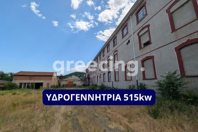 Industrial space 17.000 sqm for sale, Imathia, Naousa