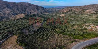 Αγροτεμάχια 8.217 τ.μ. για πώληση, Ν. Ρεθύμνου, Λάππα-thumb-3