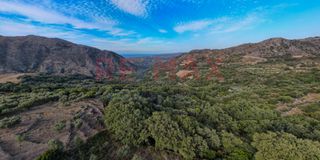Αγροτεμάχια 8.217 τ.μ. για πώληση, Ν. Ρεθύμνου, Λάππα-thumb-1