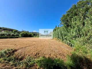Οικόπεδο 4.100 τ.μ. προς πώληση, Εσπερίες-thumb-4