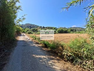 Οικόπεδο 4.100 τ.μ. προς πώληση, Εσπερίες-thumb-3
