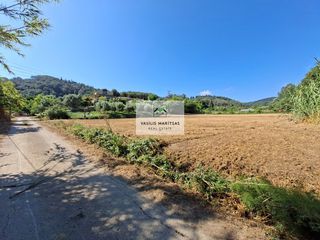 Οικόπεδο 4.100 τ.μ. προς πώληση, Εσπερίες-thumb-1